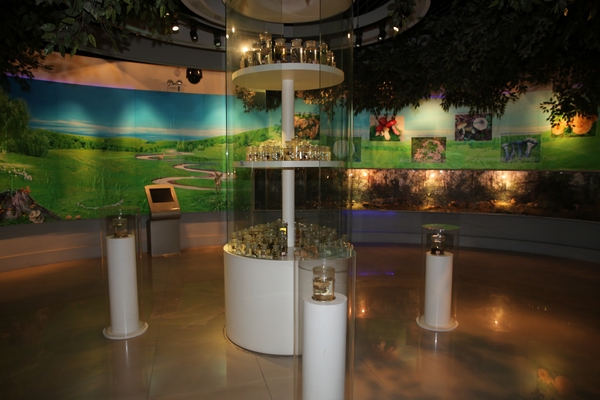 中华菌文化博览展厅剪影(图2)