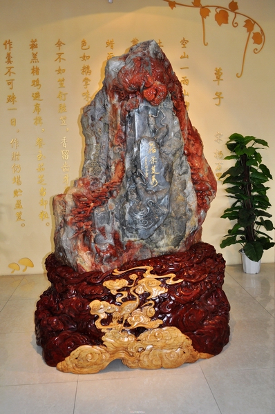 中华菌文化博览展厅剪影(图1)