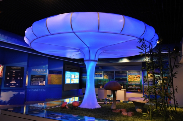 中华菌文化博览展厅剪影(图5)