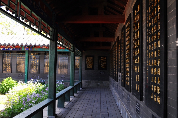 苏颂使辽展展厅剪影(图2)