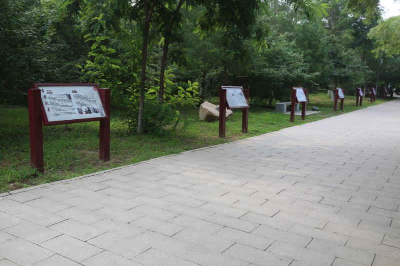 366 【河北创城记•平泉进行时】平泉博物馆创城系列活动 社会主义核心价值观涵育基地正式启动(图6)